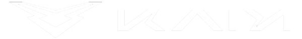 Kaiyi Logo